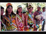 Jenis-jenis Suku Dayak Borneo