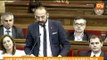 C's: La insumisión fiscal de los ayuntamientos nacionalistas, Jordi Cañas , Pleno 22/05/2013