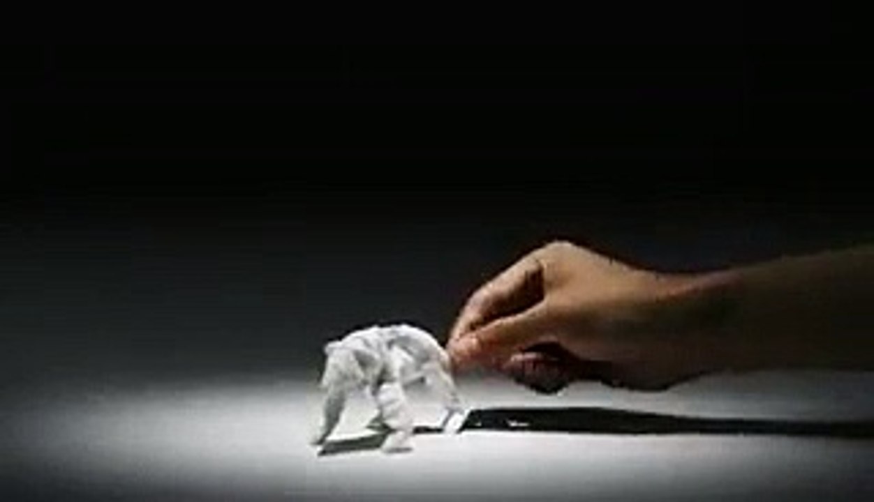 Amazing Tricks Done by the piece of paper