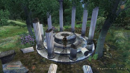 Oblivion TAL 14 Bravil Nahsi and Barg Gro