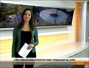 Cães policiais