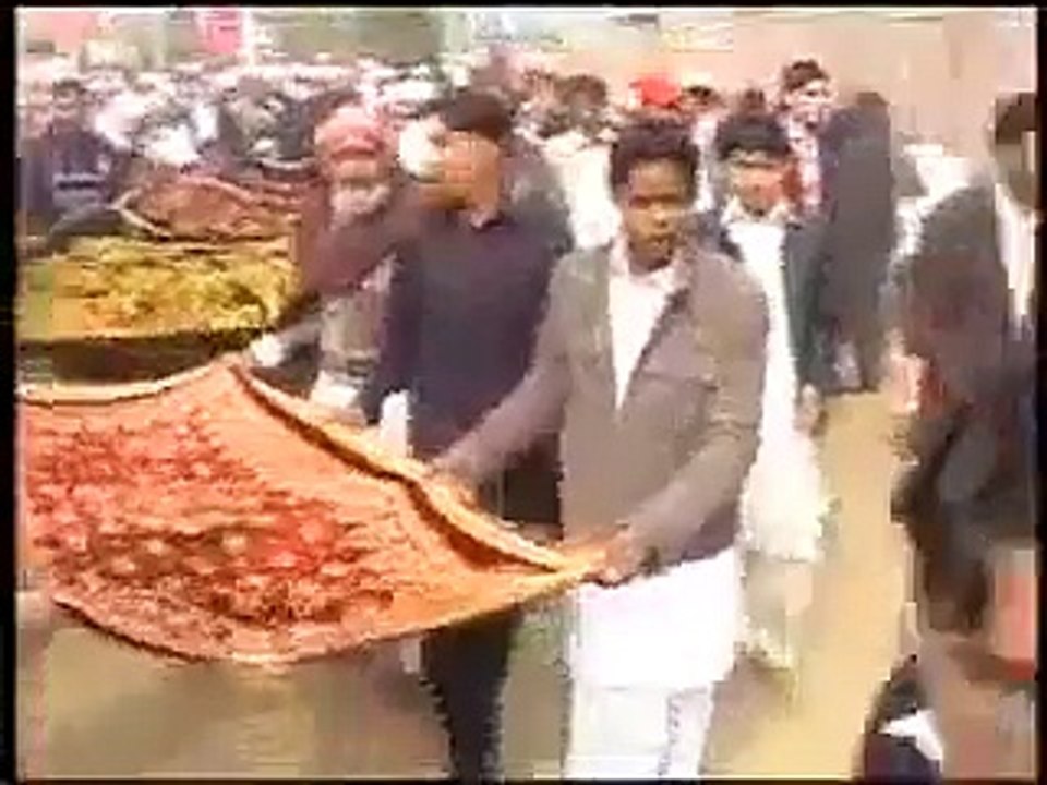 Is This Islam? What Are They Doing?