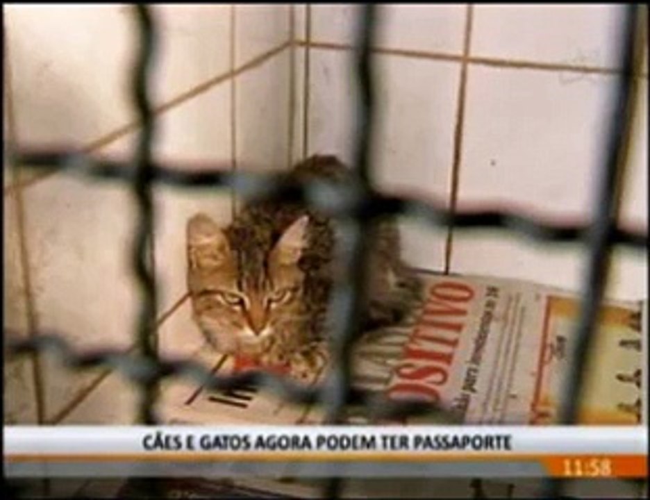 Passaporte animal