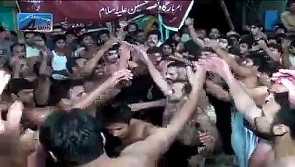 noha khawan zohain hassan member darsekarbala