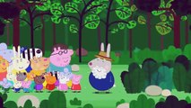 Baby and Kid Cartoon & Games ♥ Peppa Pig Poop YTP Daddy falls out a plan ♥ English Subtitles   Youtu