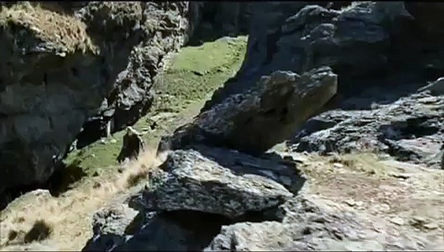 Aragorn Legolas & Gimli