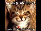 Kattenmand Dierenambulance/Dierenbescherming West-Alblasserwaard bs4