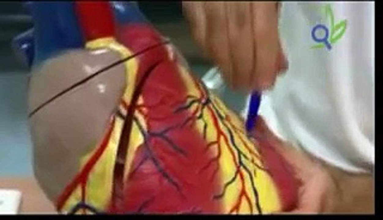 ضعف عضله القلب : اسباب ضعف القلب : اعراض ضعف القلب