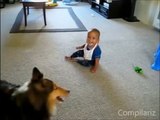 Babies Laughing Hysterically with Dog Acts| Laughing Babies | Funny