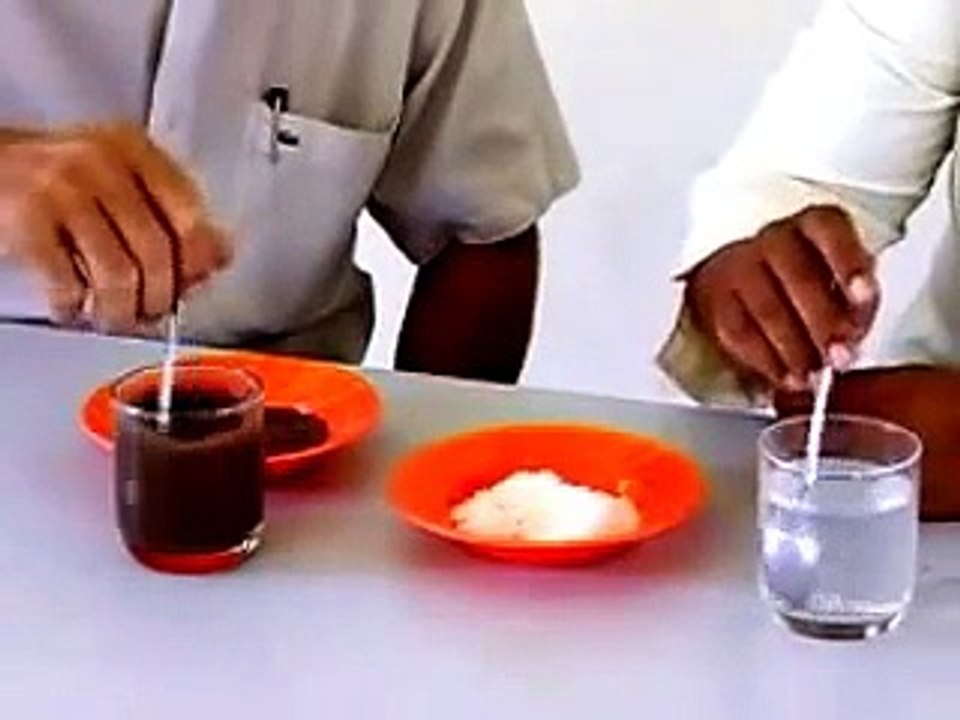 Experiment Chemistry: What Are Solutions? | science expo ideas, | 4th grade science projects,