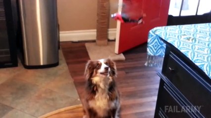 Remote Control Fails Compilation    FailArmy