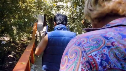 Flower Warfare - Psychedelic Action Scene