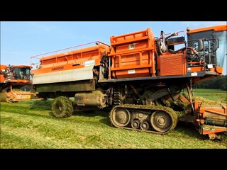Agriculture: récolte des petits pois avec 6 machines FMC et BCMH (Bourgoin)