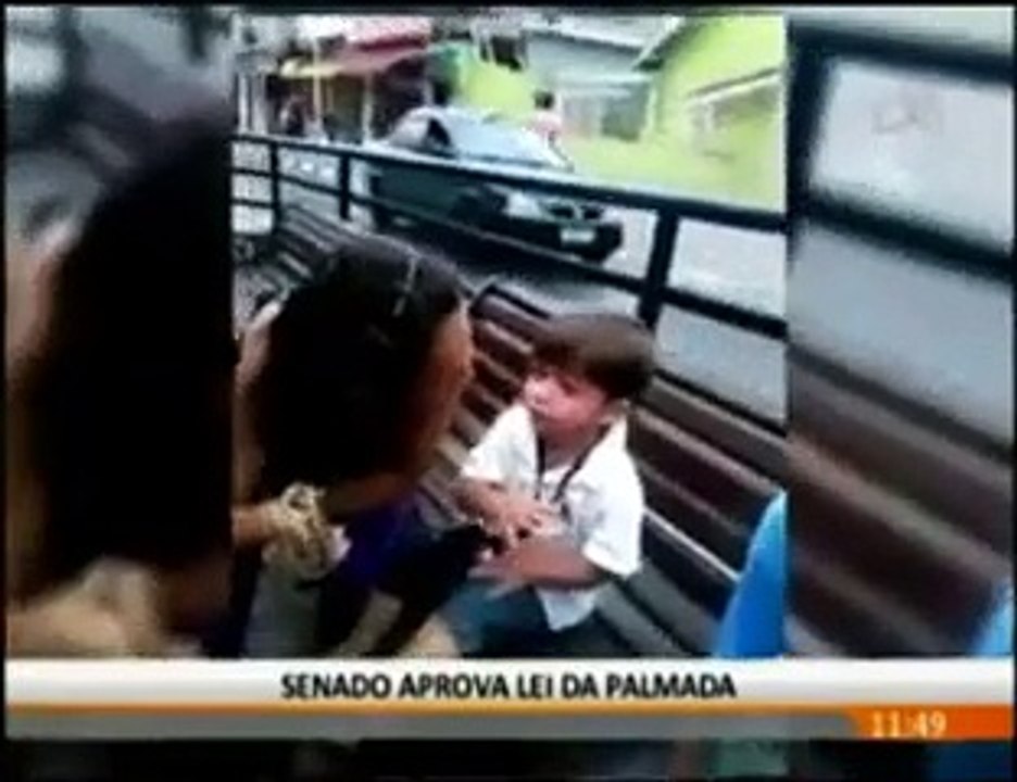 Lei da Palmada