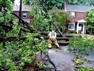 Storm Damage Tree Top in Street