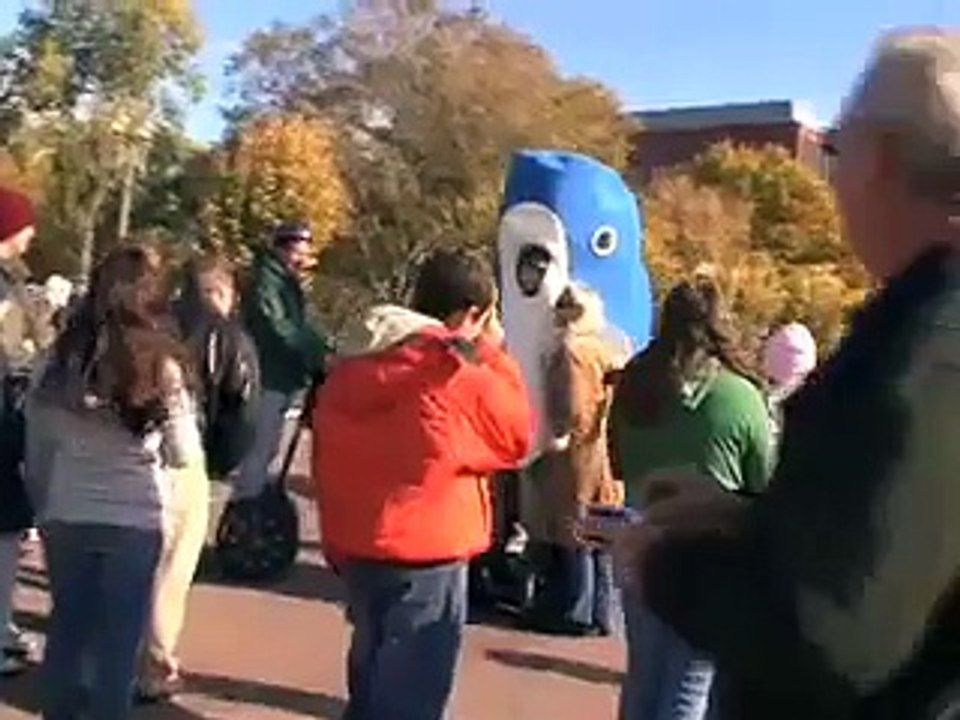 Whales on Wheels