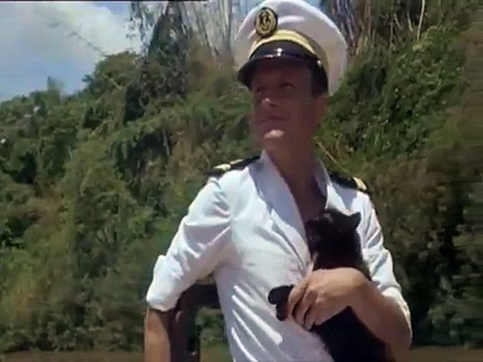 crabe tambour musique