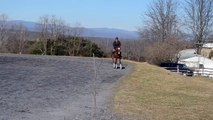 Akhal-Teke horse jumping