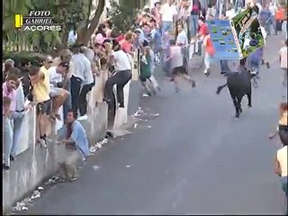 GRANDES MARRADAS NA ILHA TERCEIRA - AÇORES PORTUGAL