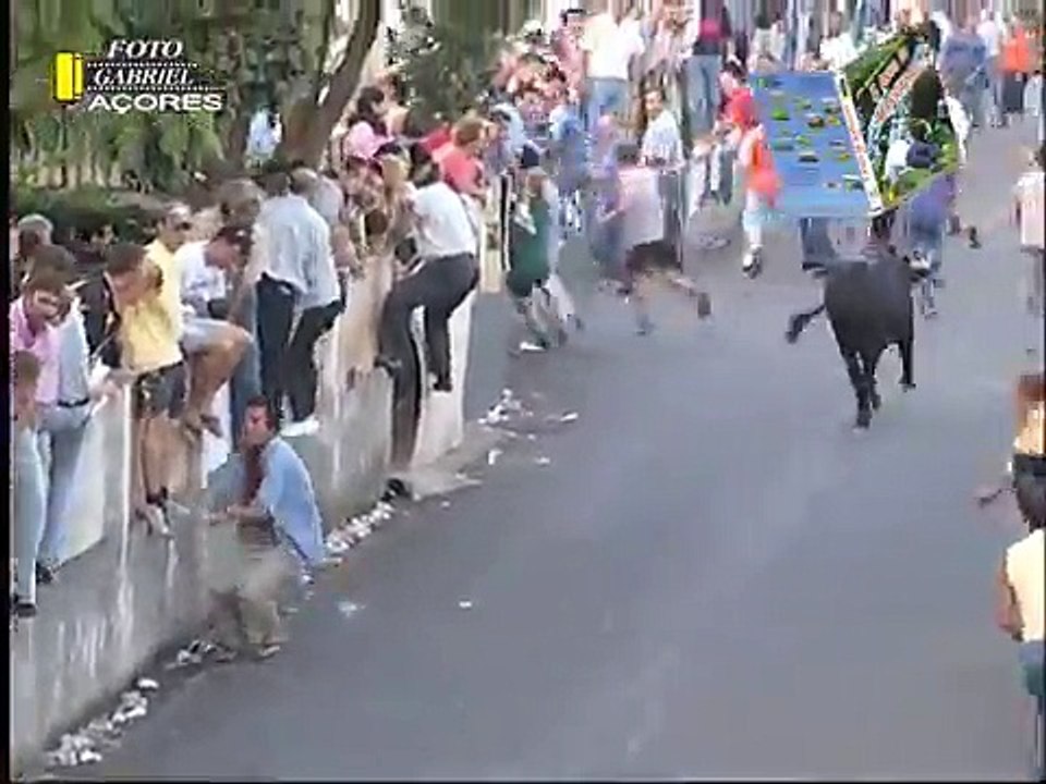 GRANDES MARRADAS NA ILHA TERCEIRA - AÇORES PORTUGAL