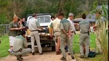 Steve Irwin Crocodile hunter helping Dr Kriek in the capture of Black Impala in SA