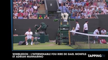 Wimbledon : L'incroyable fou rire de Gaël Monfils et Adrian Mannarino