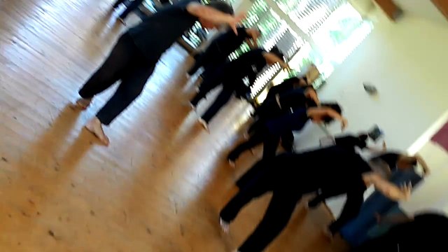 M° Tokitsu stage tai chi chuan Lerici 2015