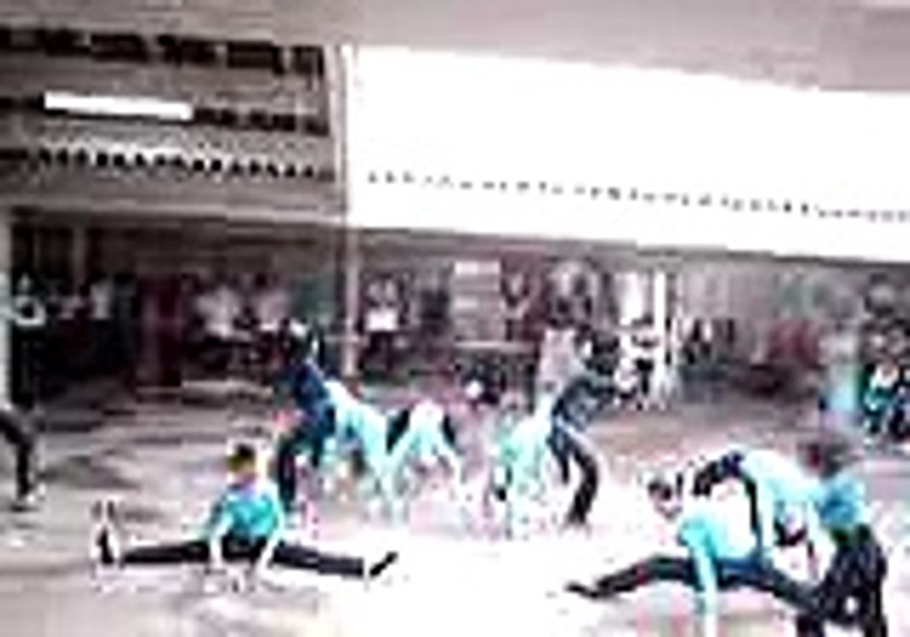 Ginástica Artística 1 - Grupo de Danças do Colégio São Luís