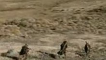 TheyreTakingTheHobbitsToIsengard