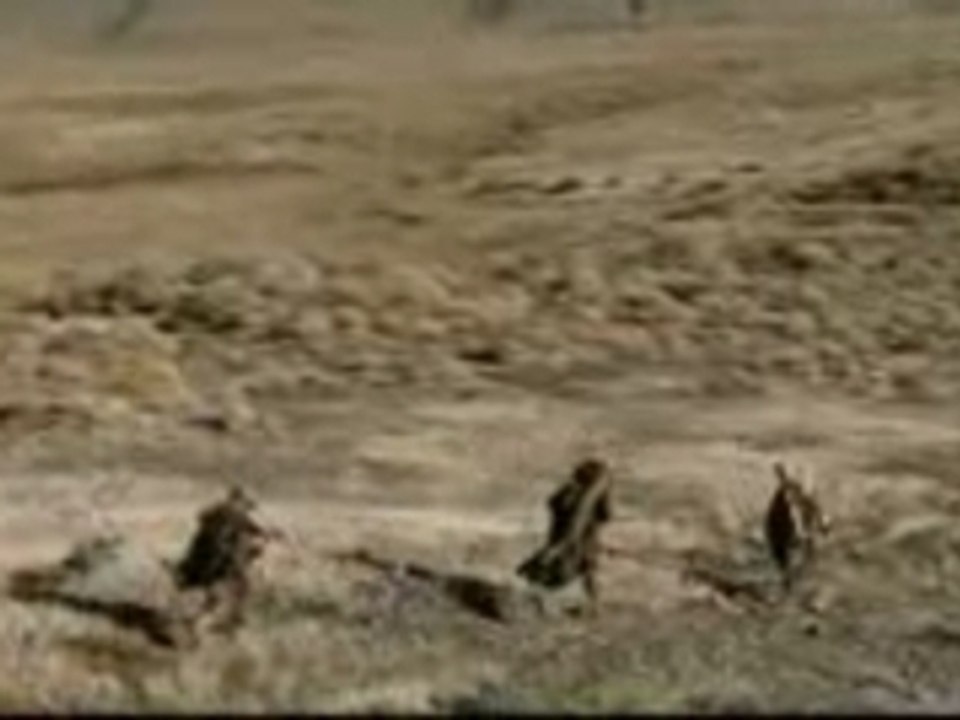 TheyreTakingTheHobbitsToIsengard