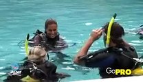 PADI Scuba Diving Lessons: Become a PADI Scuba Instructor Go Pro Rosalie - PADI Professional
