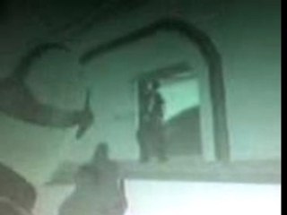 cozumel butterfly crazytown