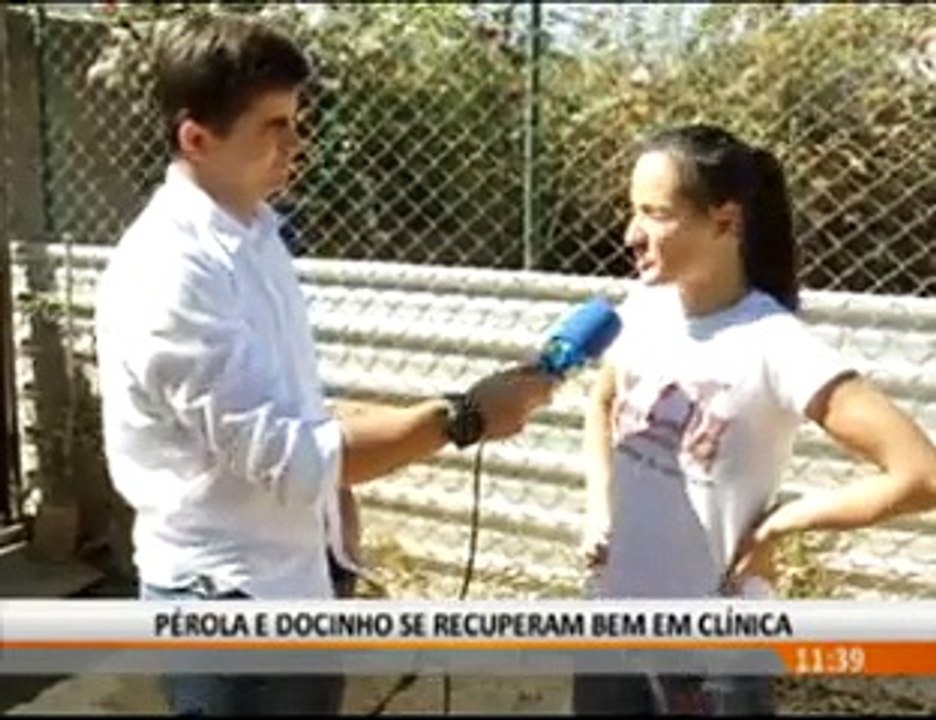 Pérola e Docinho
