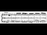 J.S. Bach - BWV 527 (3) - Sonata III - Vivace d-moll / D minor