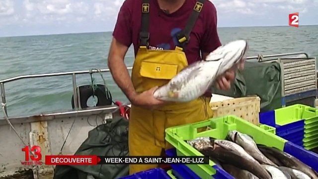 Saint-Jean-de-Luz : le merlu de ligne, de l'océan à l'assiette