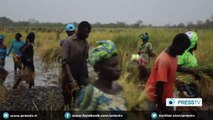 Face to Face - Gambian president talks about rice plan (P.1)