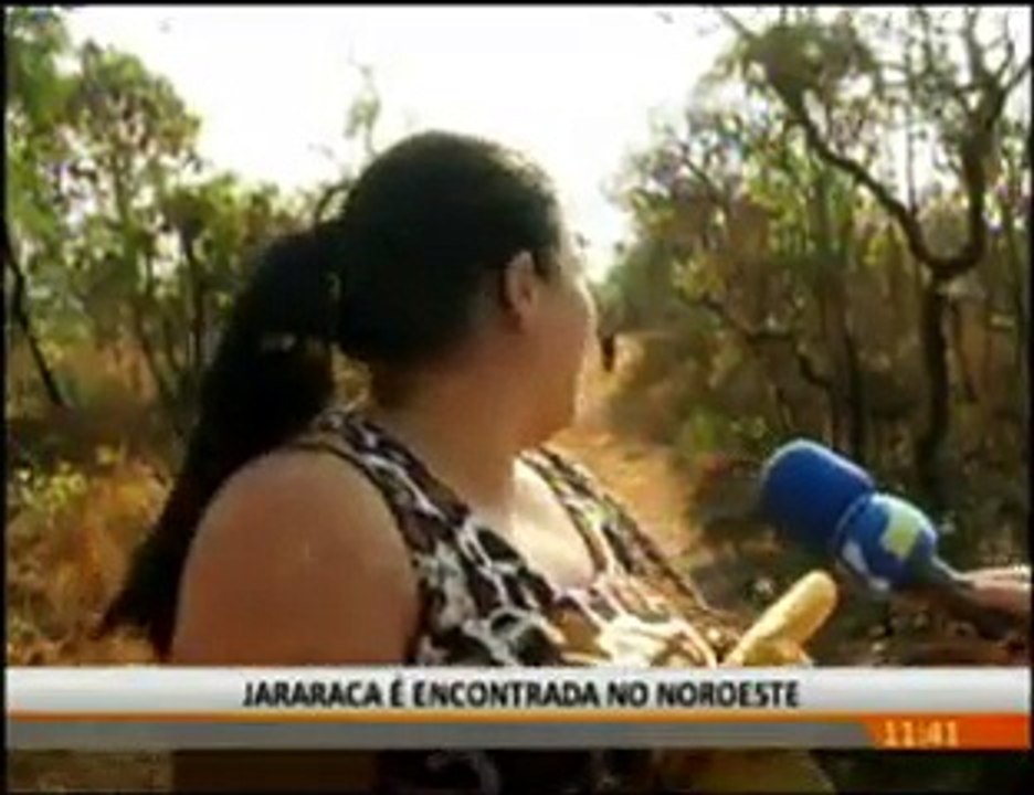 Perdida