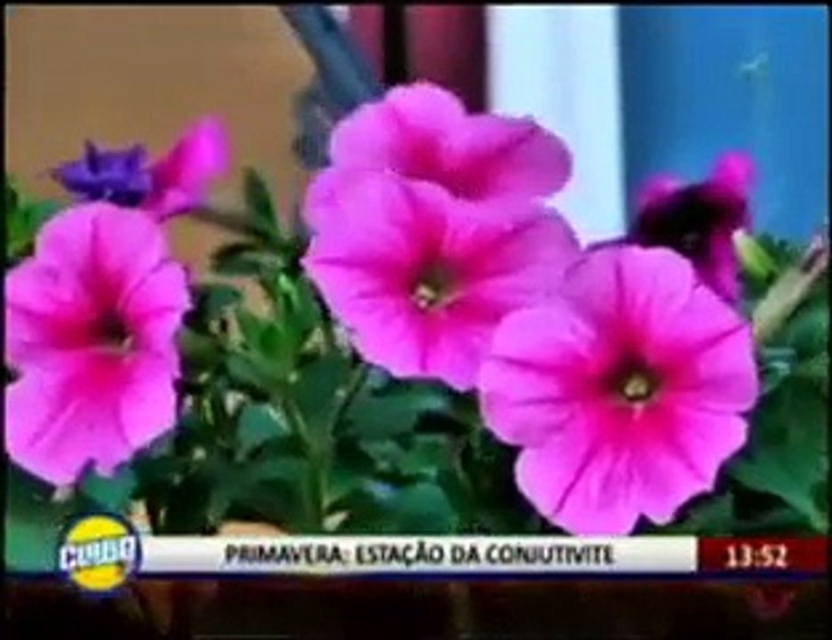 Cuidados