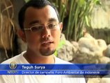 Indonesia: Ambientalistas presionan por nuevas leyes para proteger el medio ambiente