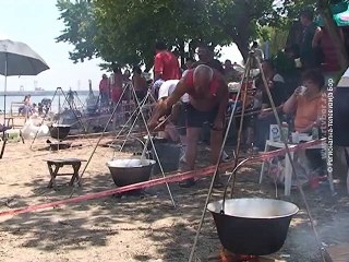 Dan Dunava na Kusjaku, 04. jul 2015. (RTV Bor)