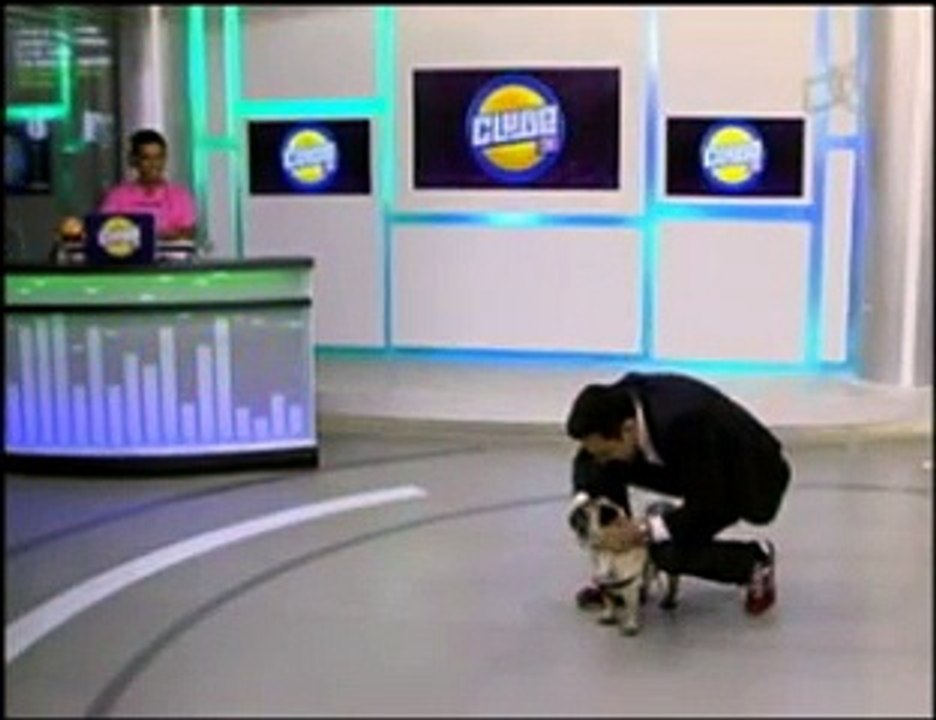 Vida animal
