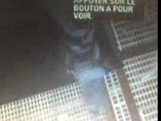 Islande crazytown come my lady