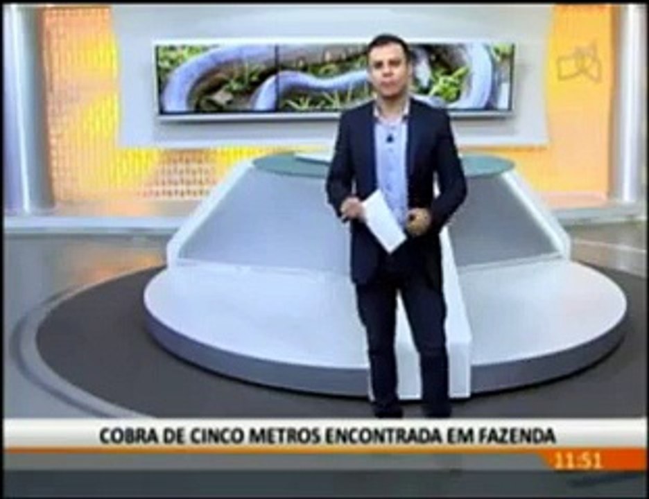 Cobra