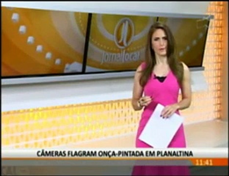 Onça em Planaltina