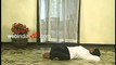 video   Jatara Parivartanasana, yoga asanas, Belly Turning Pose, Stomach Churning Pose, postures, form of exercise, Floor Asanas, sciatica, kerala, india