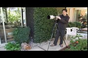 The Nature Photography Show, #1: Bungee Cord Tripod Tip
