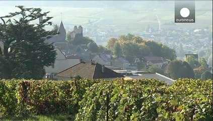 Champagne, patrimonio mondiale dell'Umanità