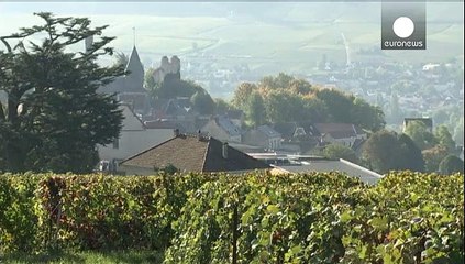 UNESCO: Μνημείο Παγκόσμιας Πολιτιστικής Κληρονομιάς οι αμπελώνες της Βουργουνδίας
