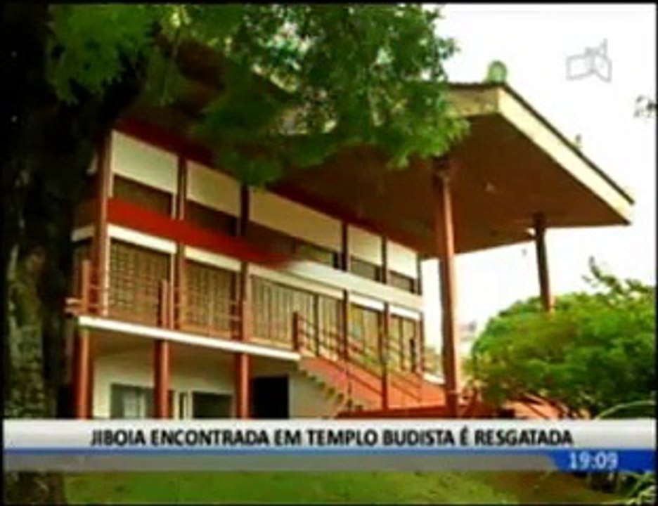 Jiboia