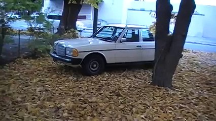 1984 Mercedes Benz 300TD Wagon W123 OM617